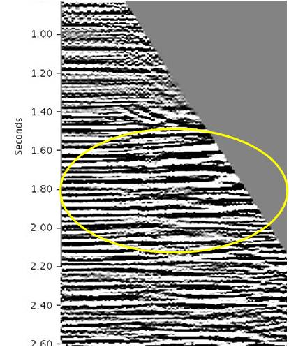 case 2_anisotropy_gather_160517