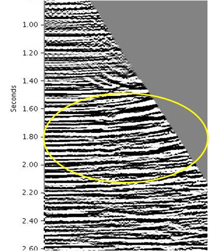 case 2_isotropy_gather_160517